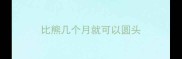 比熊几个月就可以圆头