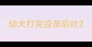 幼犬打完疫苗后吐