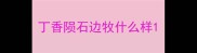 丁香陨石边牧什么样