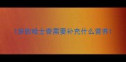 1岁的哈士奇需要补充什么营养