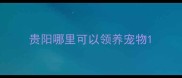 贵阳哪里可以领养宠物