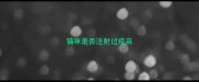 猫咪是否注射过疫苗