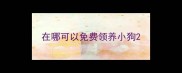 在哪可以免费领养小狗