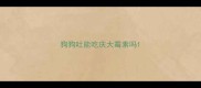 狗狗吐能吃庆大霉素吗