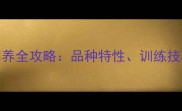 拉布拉多寻回犬饲养全攻略品种特性训练技巧与健康管理指南