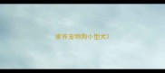 家养宠物狗小型犬
