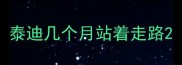 泰迪几个月站着走路
