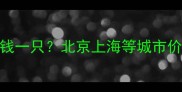 茶杯泰迪价格多少钱一只北京上海等城市价格区间及选购指南