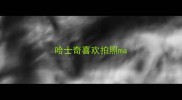 哈士奇喜欢拍照ma