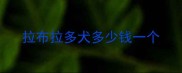 拉布拉多犬多少钱一个