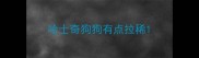 哈士奇狗狗有点拉稀