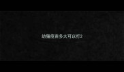 幼猫疫苗多大可以打