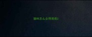 猫咪怎么会得肾病
