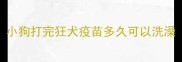 小狗打完狂犬疫苗多久可以洗澡