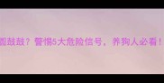 幼犬肚子圆鼓鼓警惕5大危险信号养狗人必看