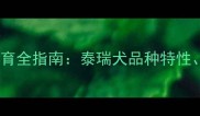 雪纳瑞泰迪混血犬培育全指南泰瑞犬品种特性饲养要点与健康养护