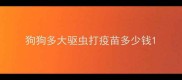 狗狗多大驱虫打疫苗多少钱