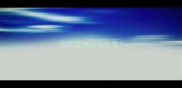 沈阳宠物空运价格