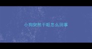 小狗突然干呕怎么回事