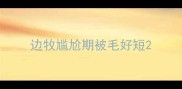 边牧尴尬期被毛好短