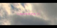 小狗怀孕有奶水了