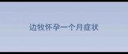 边牧怀孕一个月症状