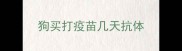 狗买打疫苗几天抗体