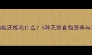 哈士奇除了狗粮还能吃什么5种天然食物营养与科学喂养指南