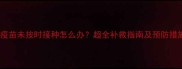 狗狗疫苗未按时接种怎么办超全补救指南及预防措施全