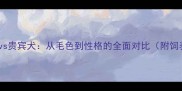 白色泰迪vs贵宾犬从毛色到性格的全面对比附饲养指南