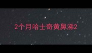 2个月哈士奇黄鼻涕