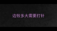 边牧多大需要打针