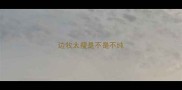 边牧太瘦是不是不纯