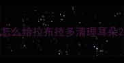 怎么给拉布拉多清理耳朵