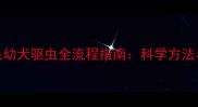 刚满月金毛幼犬驱虫全流程指南科学方法与注意事项