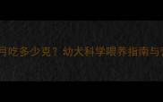 哈士奇三个月吃多少克幼犬科学喂养指南与营养配比全