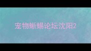 宠物蜥蜴论坛沈阳