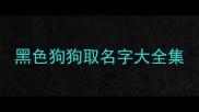 黑色狗狗取名字大全集