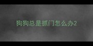狗狗总是抓门怎么办