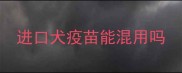 进口犬疫苗能混用吗