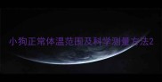 小狗正常体温范围及科学测量方法
