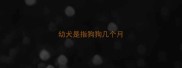 幼犬是指狗狗几个月