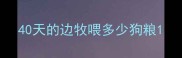 40天的边牧喂多少狗粮