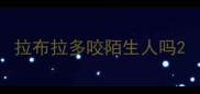 拉布拉多咬陌生人吗