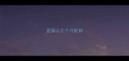 蓝猫公几个月配种
