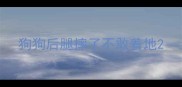 狗狗后腿摔了不敢着地