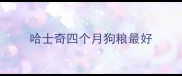 哈士奇四个月狗粮最好