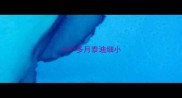 一个多月泰迪细小