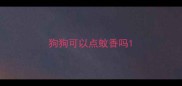 狗狗可以点蚊香吗