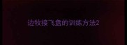 边牧接飞盘的训练方法